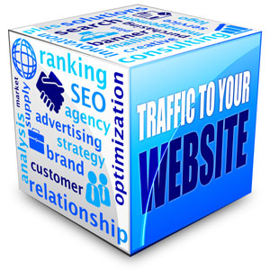 Traffic Website