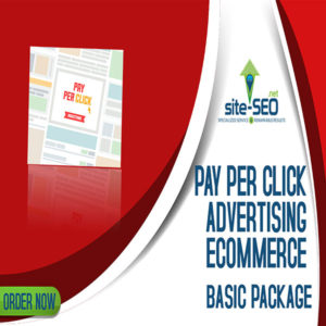 Google Pay Per Click Advertising-Ecommerce Package-Order Now and Save up to 30%