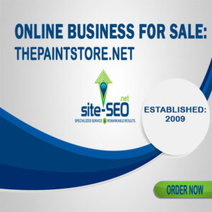 Online Business For Sale-ThePaintStore