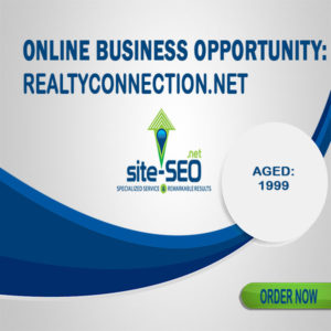 Online Business Opportunity-RealtyConnection