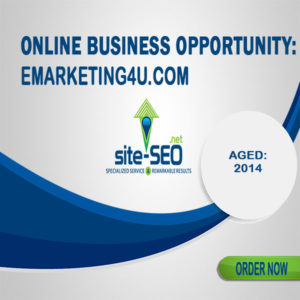 Online Business Opportunity-Emarketing4u