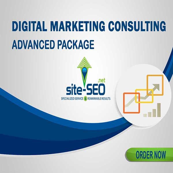 Do You Need Help Growing Your Business? Digital Marketing Consulting-Advanced Package