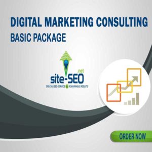 Do You Need Help Growing Your Business? Digital Marketing Consulting-Basic Package