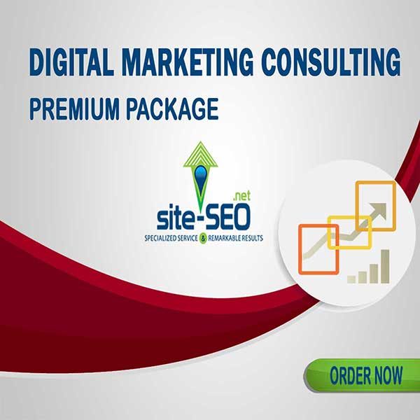 Do You Need Help Growing Your Business? Digital Marketing Consulting-Premium Package