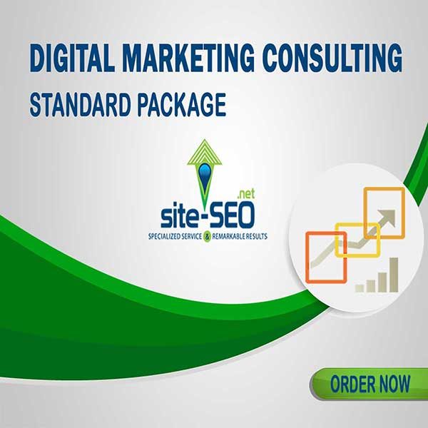 Do You Need Help Growing Your Business? Digital Marketing Consulting-Standard Package