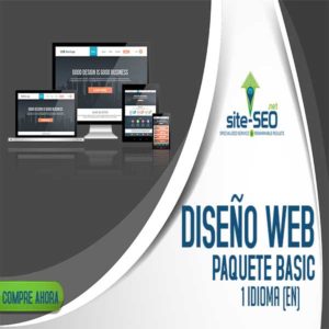 Diseño Web-Paquete Basic