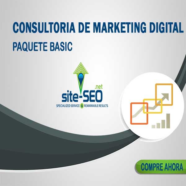 Consultoria Marketing Digital-Paquete Basic