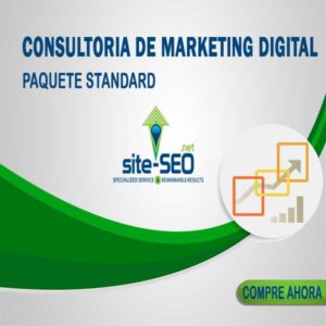 Consultoria Marketing Digital-Paquete Standard